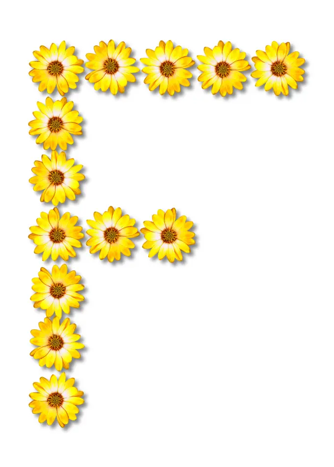 Floral letter F