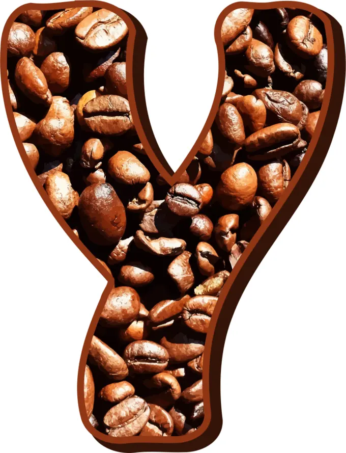 Coffee beans typography Y
