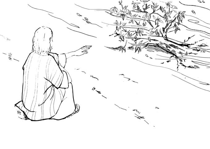 Moses and burning bush vector image