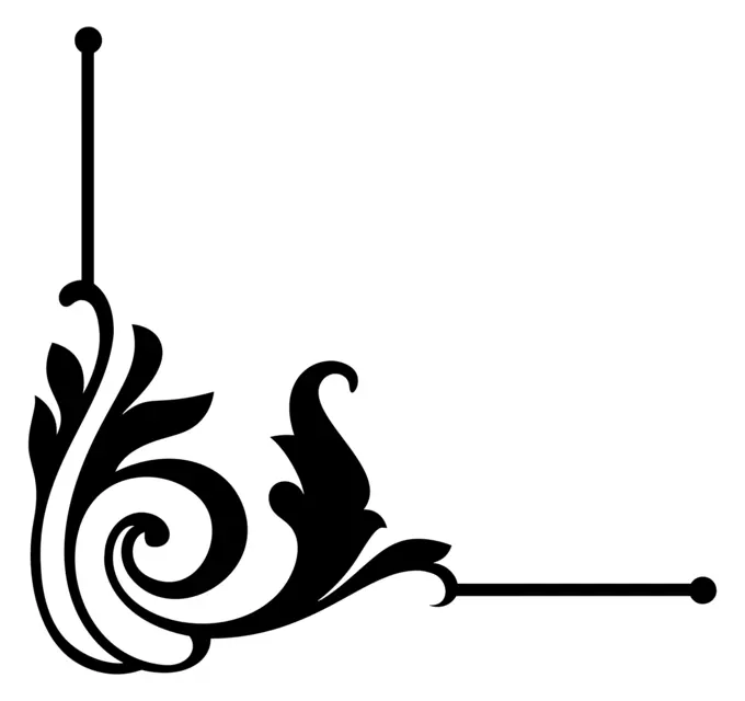 Corner ornament vector image
