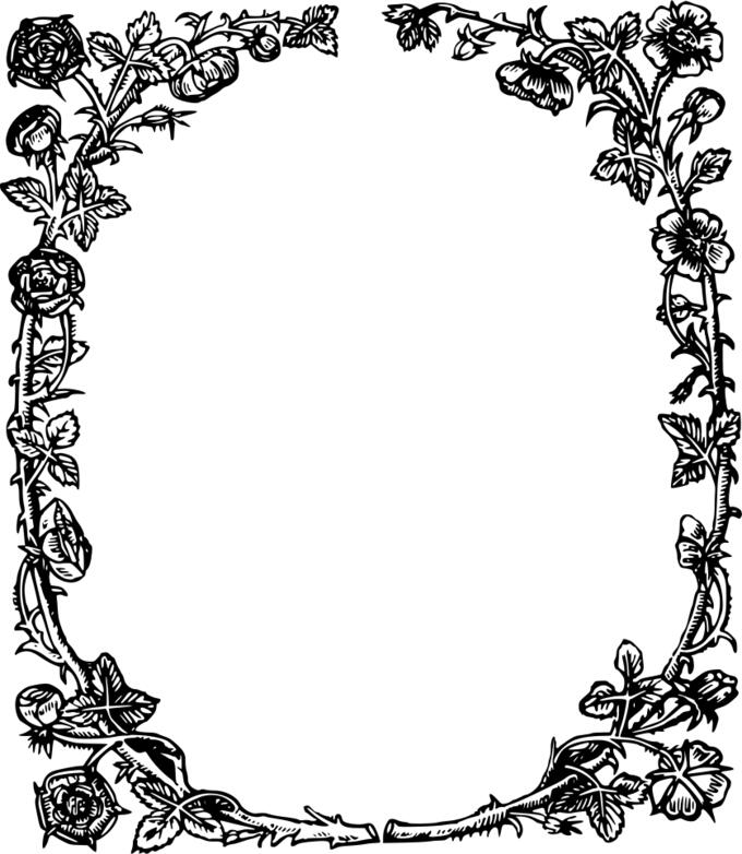 Rose frame vector drawing