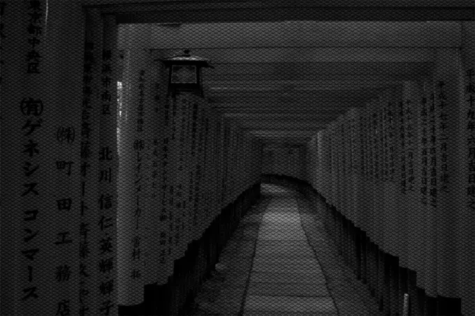 Narrow gates in black and white