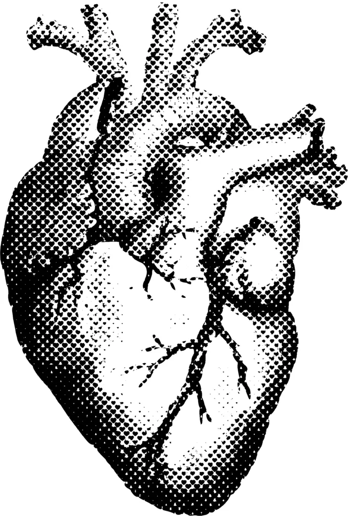 Black and white human heart