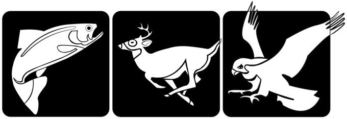 Fish, deer and bird