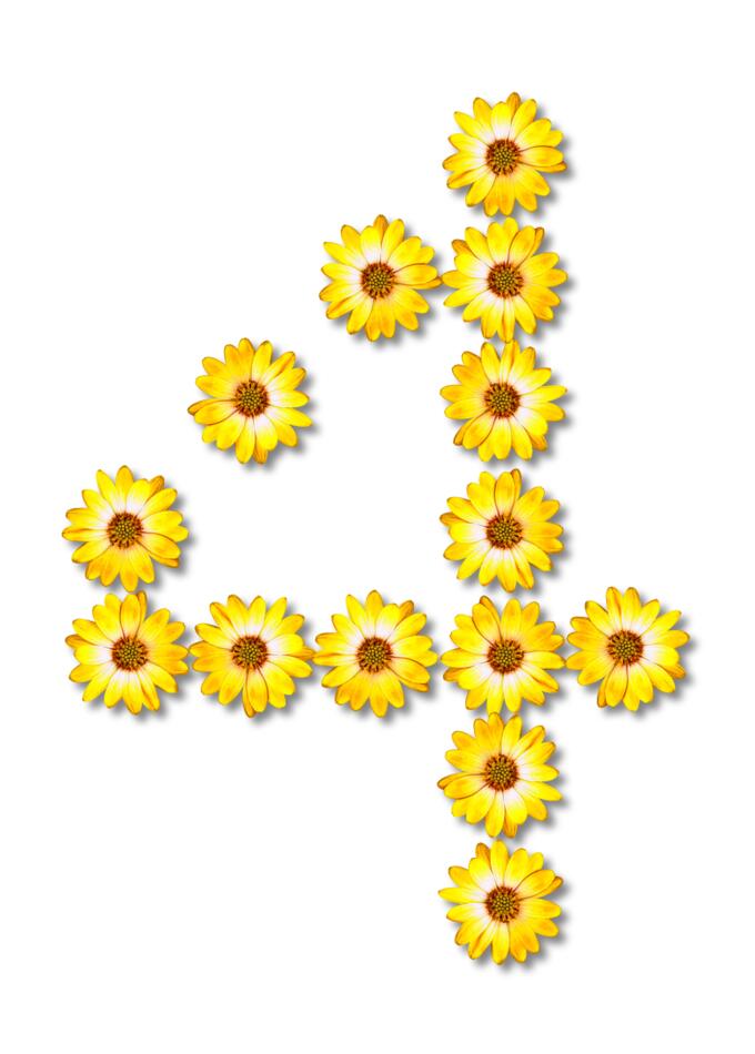 Flowery number four