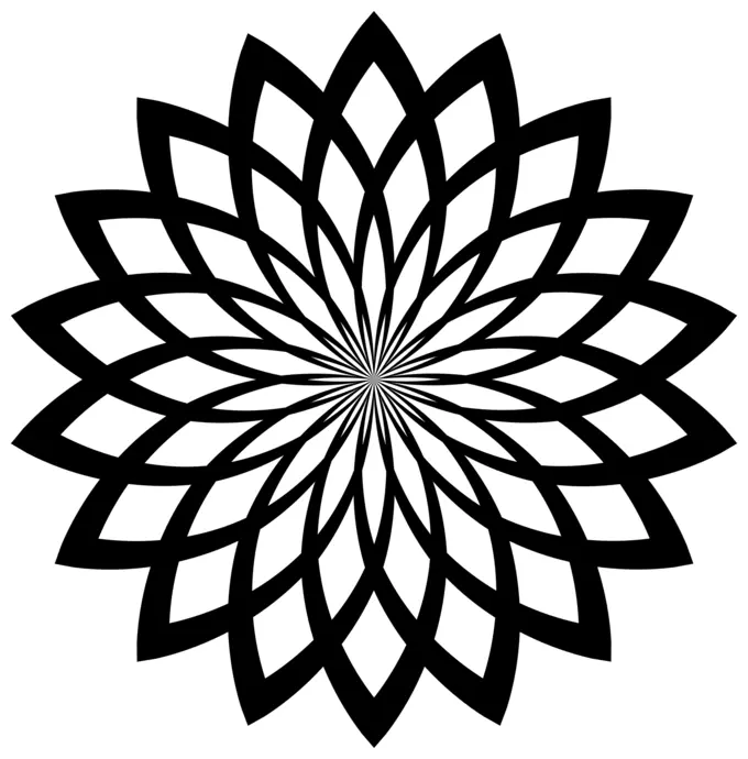 Flower line art vector image