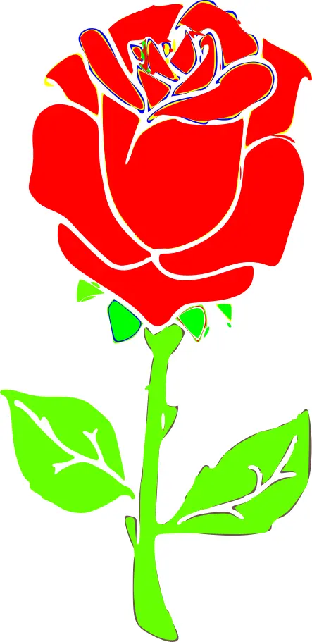 Rose drawing image