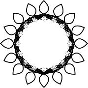 Sunflower rosette