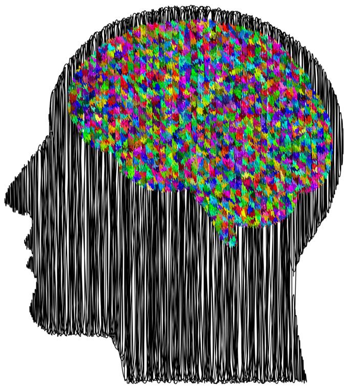 Prismatic man's brain