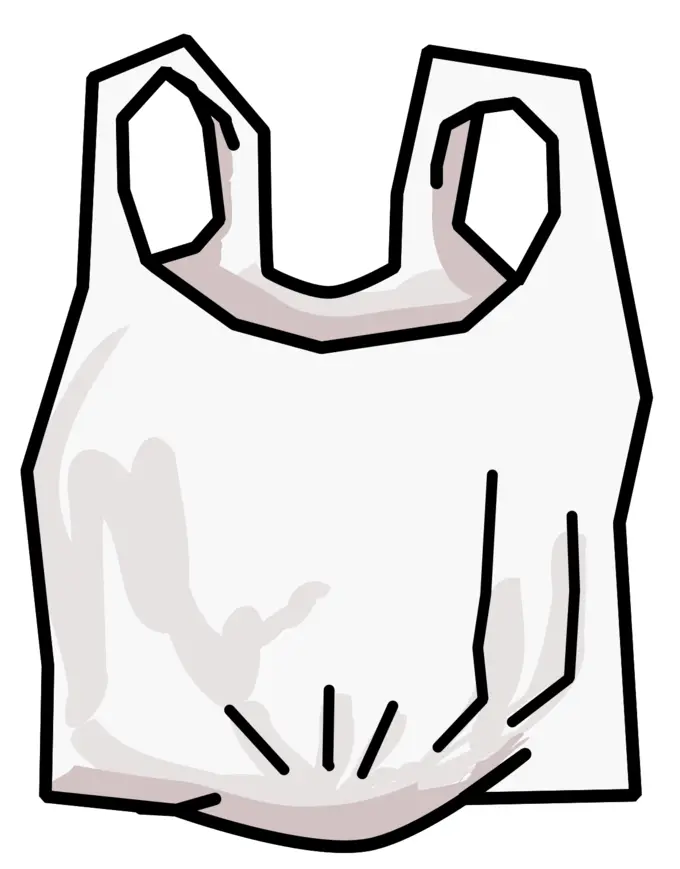 Plastic shopping bag