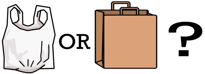 Paper or plastic bag