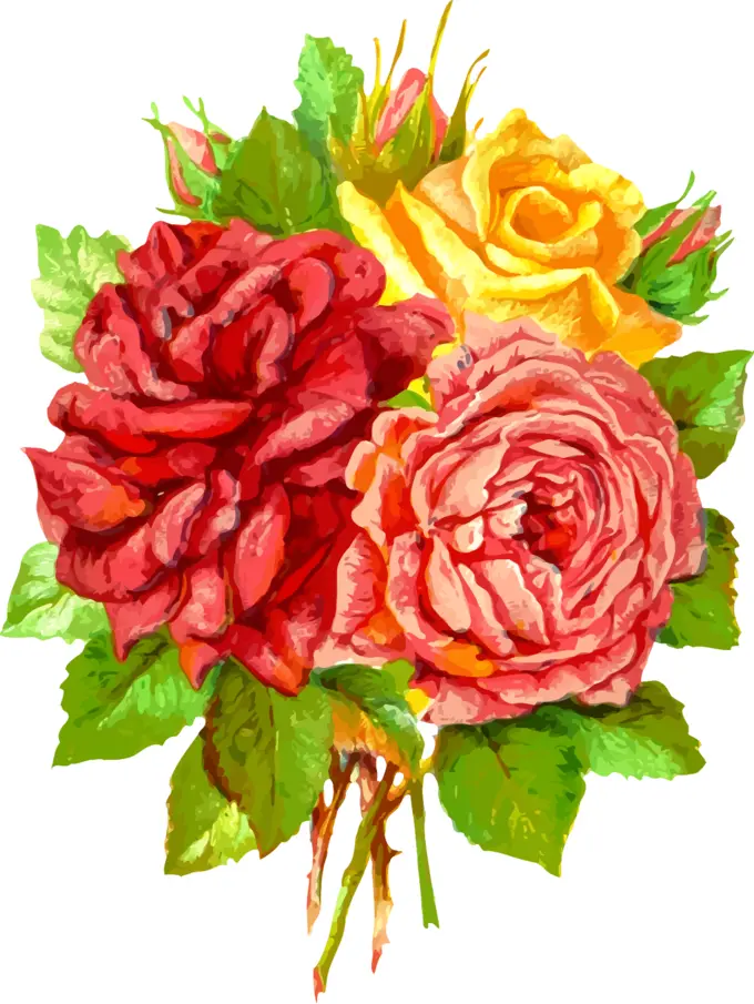 Yellow and red roses