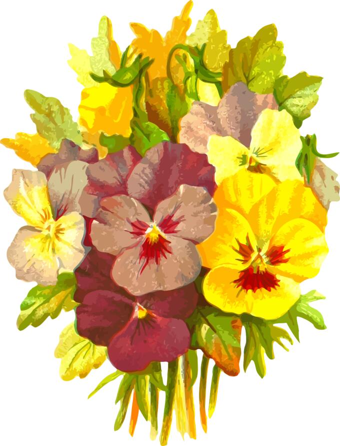 Painted flowers vector image