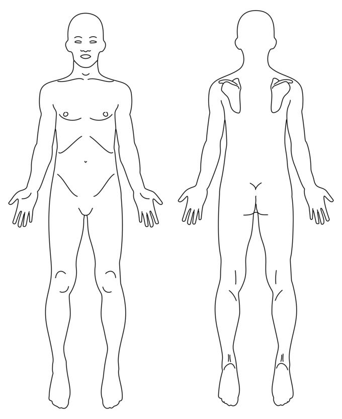 Male anatomy image