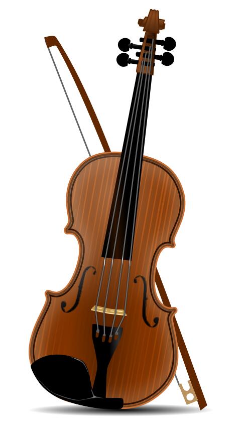 Violin musical instrument