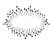Sperm silhouette