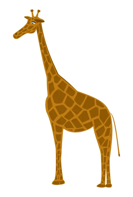 Tall giraffe
