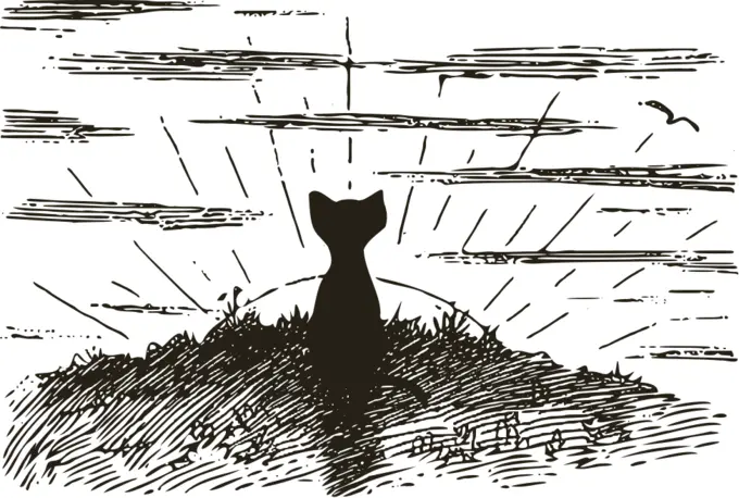 Cat looking at the sunrise