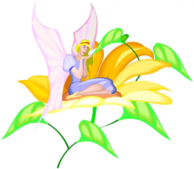 Butterfly pixie