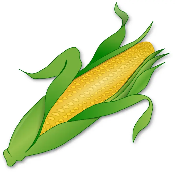 Fresh corn image