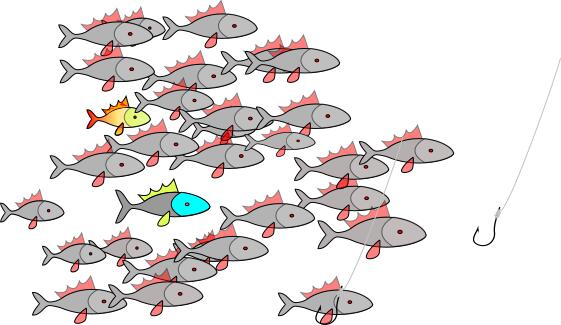 Shoal of fish