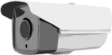 Security camera image