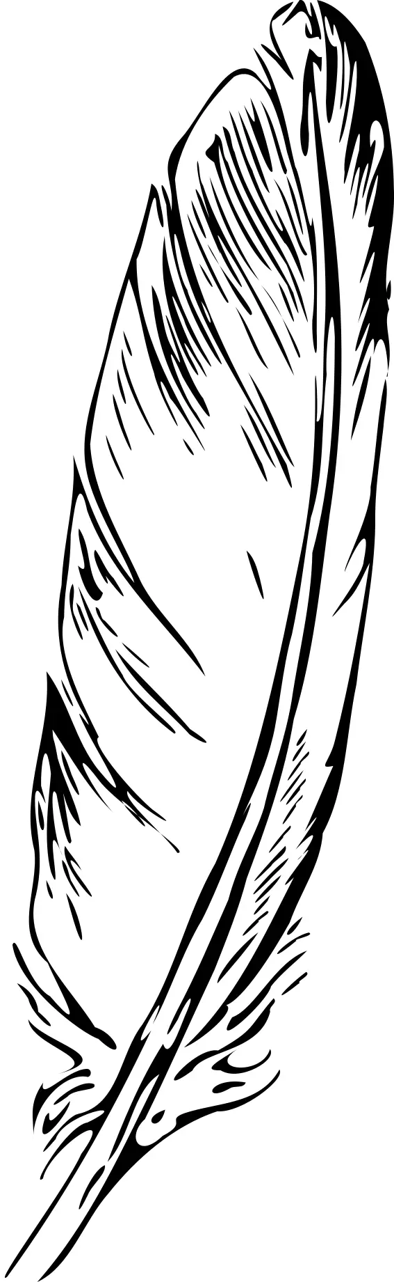 Feather silhouette