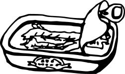 Anchovy in can