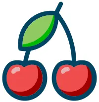 Cherries vector image