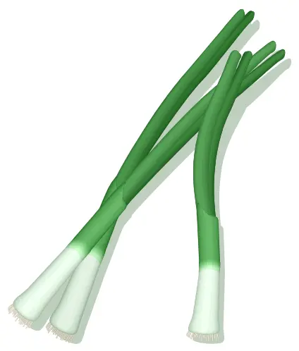 Green onions