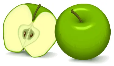 Green apples vector image