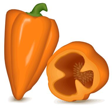 Orange pepper bell