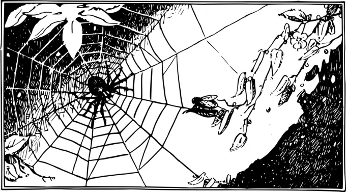 Spider and web image