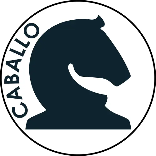 Chess pawn icon