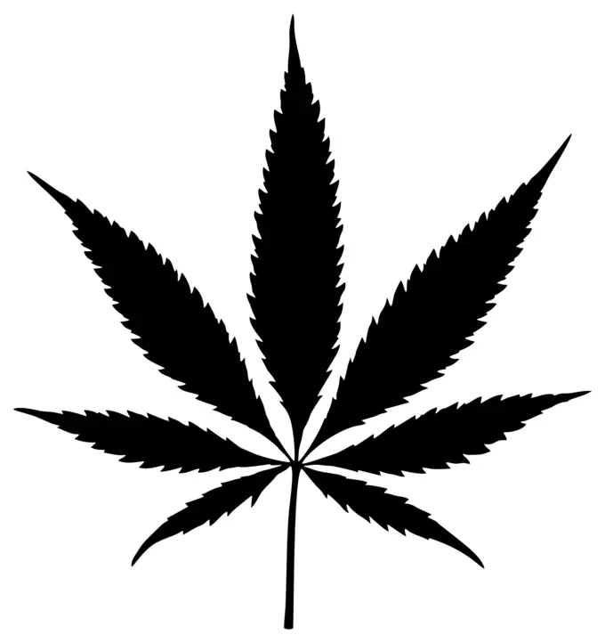 Marijuana silhouette image
