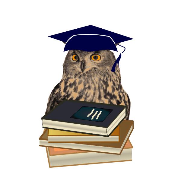Smart owl