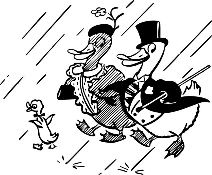Duck family illustration