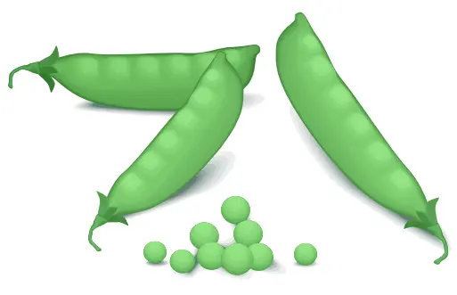 Green peas vector image