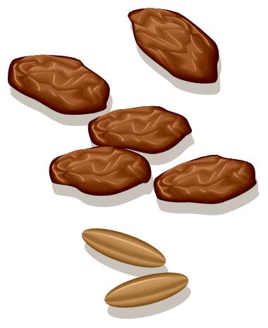 Dates vector image