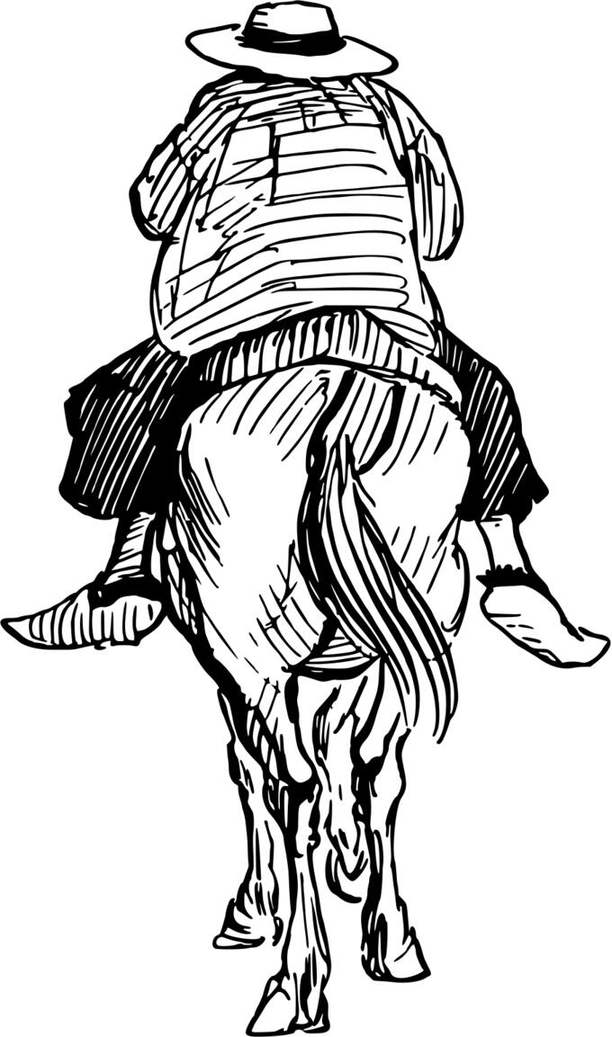 Horse and rider image