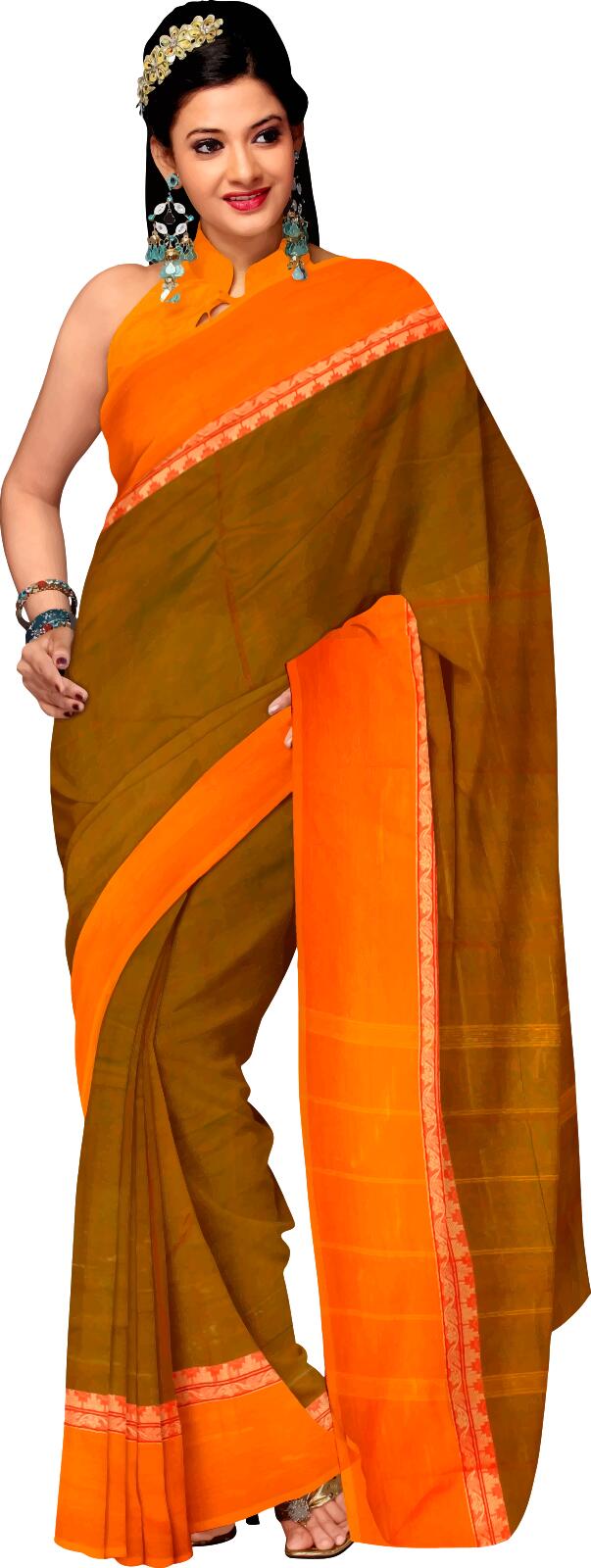 Lady in sari