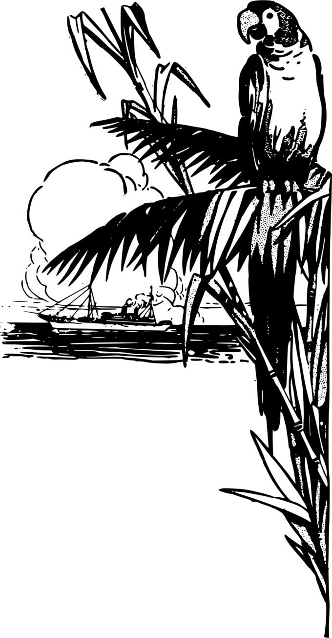 Tropical parrot