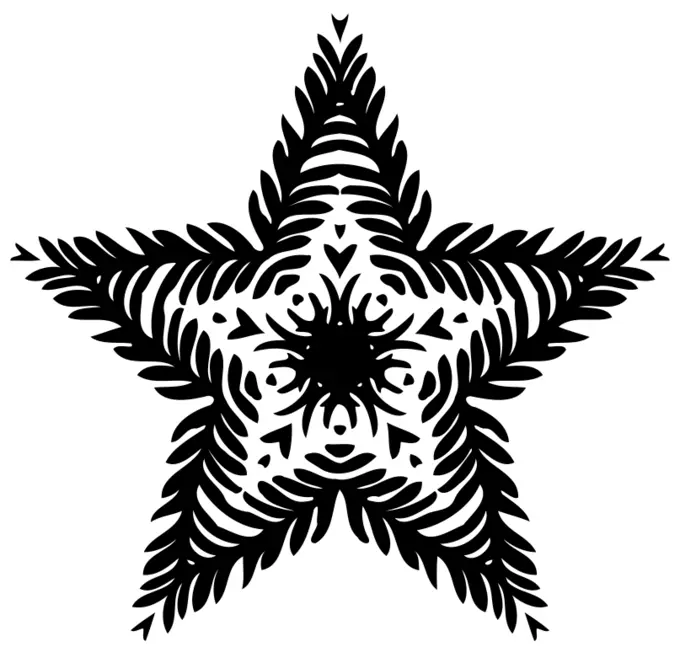 Star silhouette image