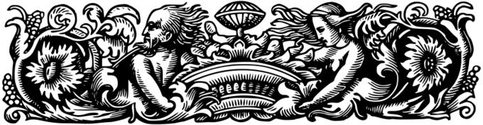 Decorative divider vector graphics