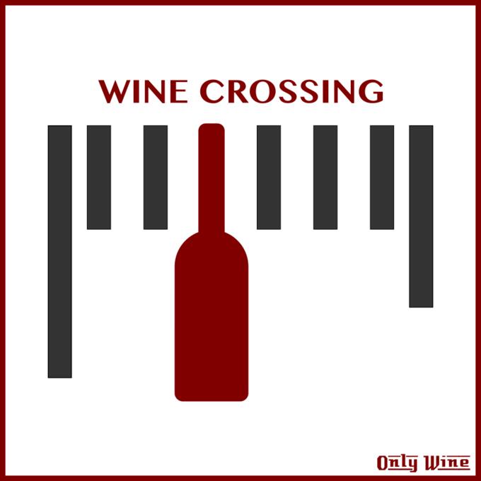 Wine label 3