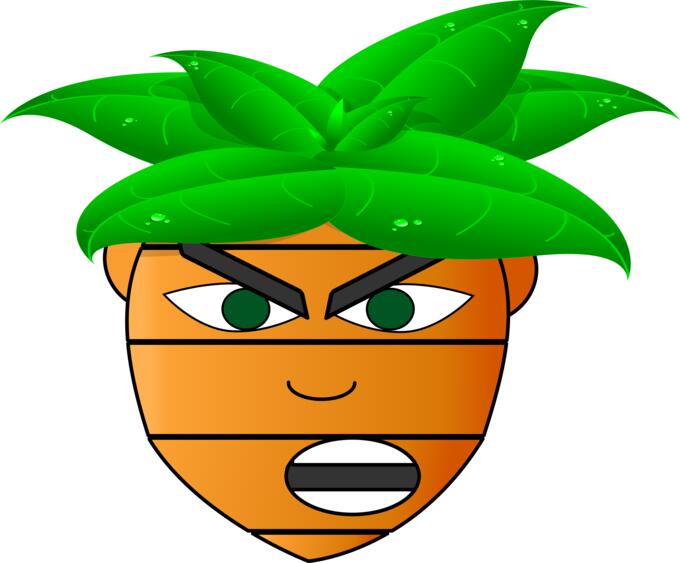 Carrot man's head