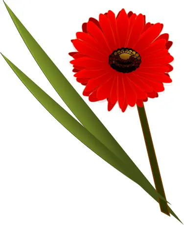 Red flower symbol