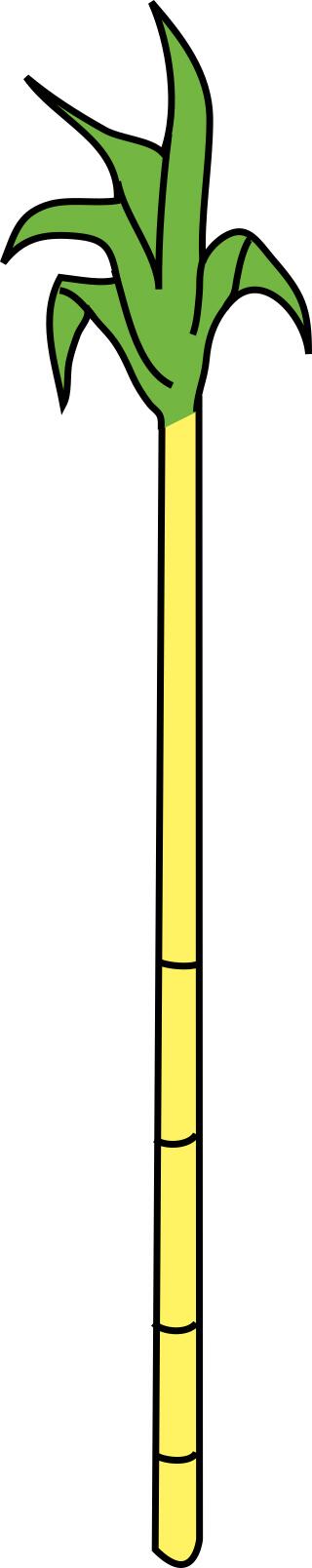 Bamboo tree