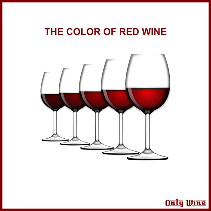 Five wine glasses