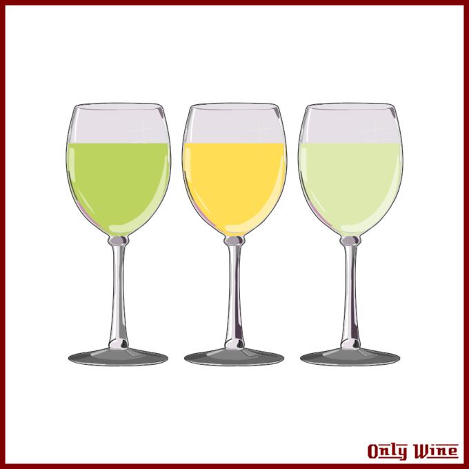 Different drink glasses